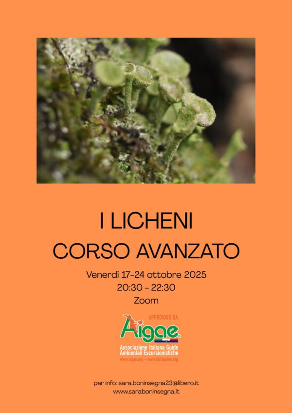 Le Macro bellezze del micro: I Licheni Corso Avanzato