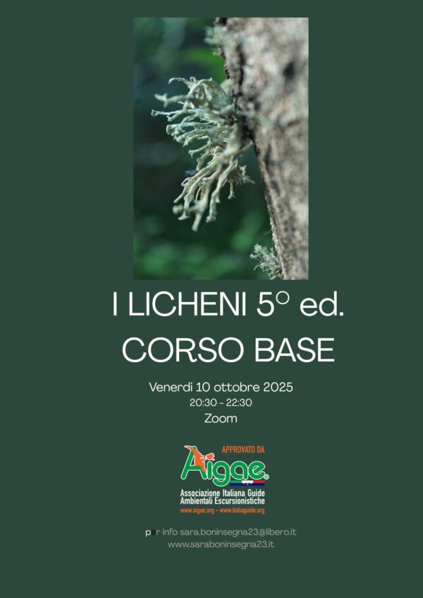 Le Macro bellezze del micro: I Licheni 5° ed. Corso Base