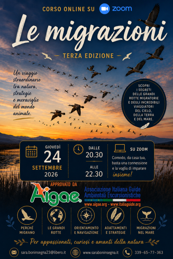 ChatGPT Image 1 ago 2026, 22_11_13 I Segreti della Natura: Le Migrazioni IV ed.