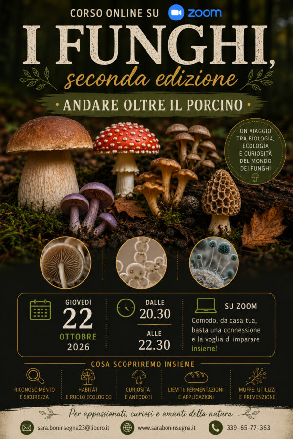 I Funghi 10-26 Le Macro Bellezze del Micro: I FUNGHI