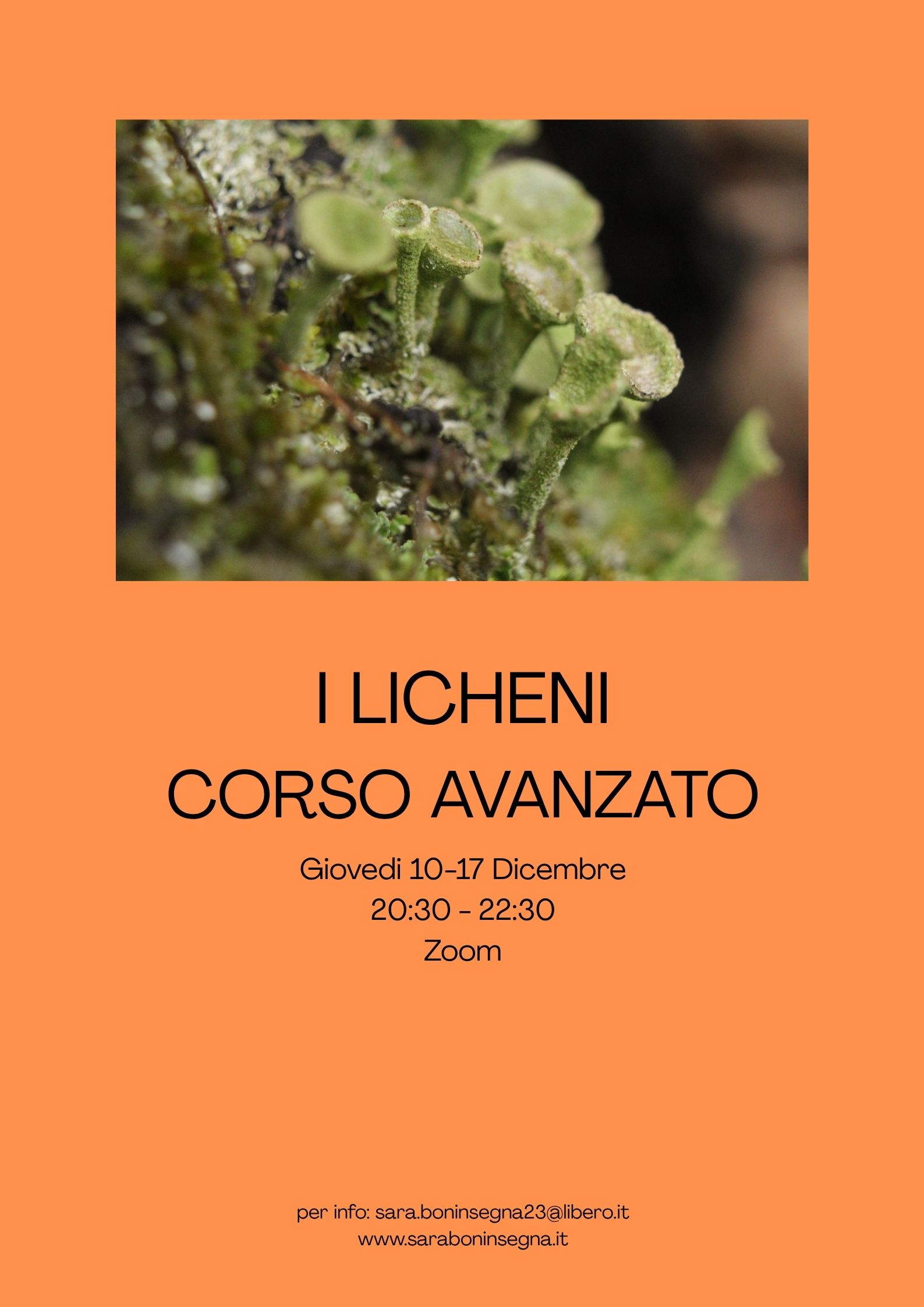 Le Macro Bellezze del Micro: I LICHENI II ed. Corso Avanzato