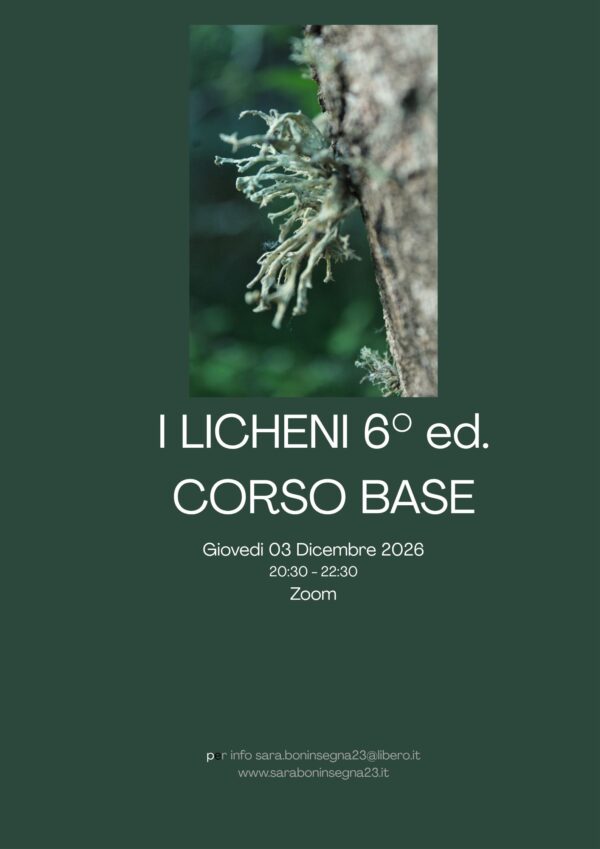 Le Macro Bellezze del Micro: I LICHENI VI ed. Corso Base